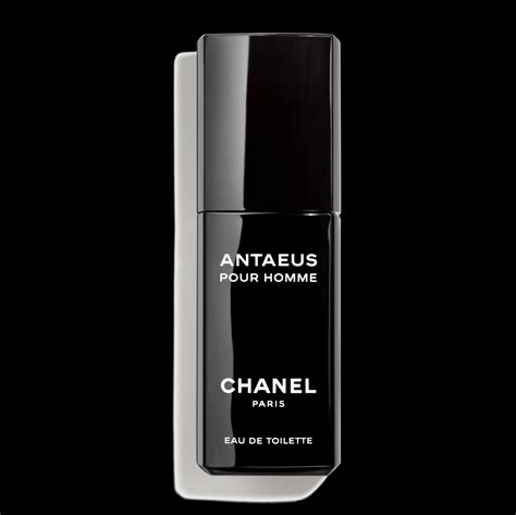 chanel antaeus eau de toilette 100 ml|chanel antaeus discontinued.